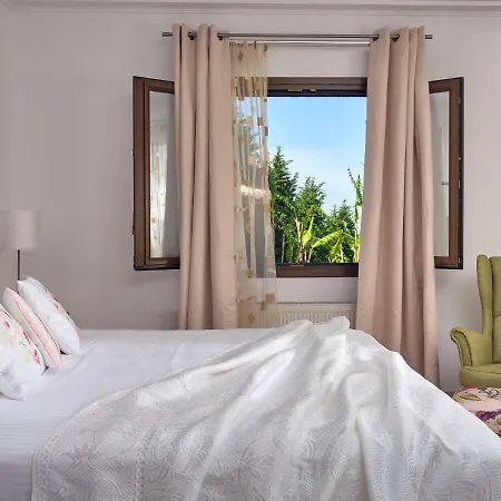 Villa Palm Luxury